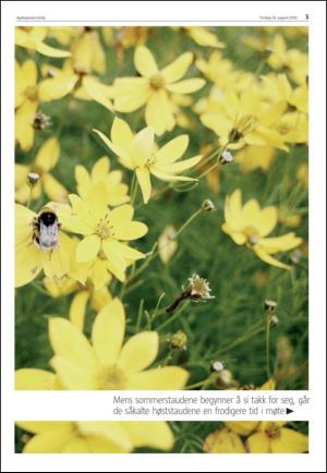 agderposten_sec2-20100824_000_00_00_003.pdf