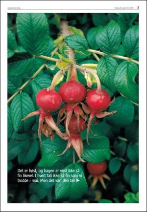 agderposten_sec2-20100921_000_00_00_003.pdf