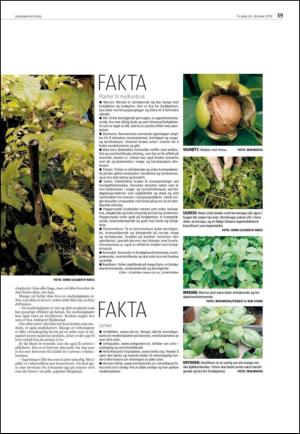 agderposten_sec2-20101026_000_00_00_039.pdf