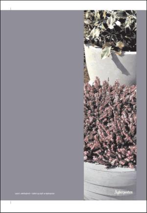 agderposten_sec2-20110429_000_00_00_048.pdf