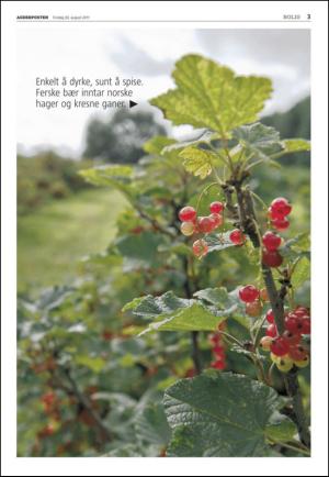 agderposten_sec2-20110830_000_00_00_003.pdf