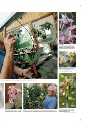 agderposten_sec2-20110924_000_00_00_025.pdf