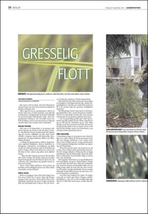 agderposten_sec2-20110927_000_00_00_038.pdf