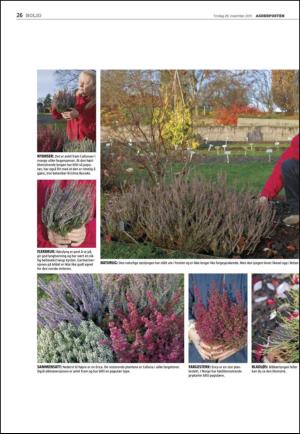 agderposten_sec2-20111129_000_00_00_026.pdf