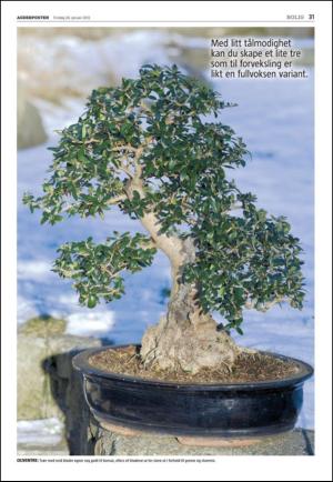 agderposten_sec2-20120124_000_00_00_031.pdf