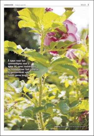 agderposten_sec2-20120828_000_00_00_003.pdf