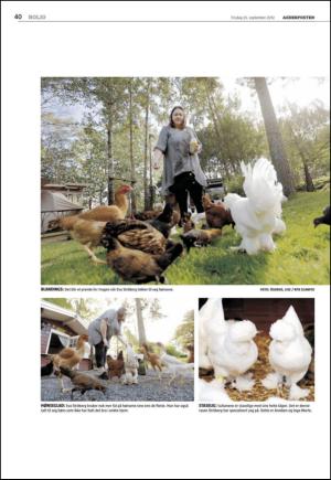 agderposten_sec2-20120925_000_00_00_040.pdf