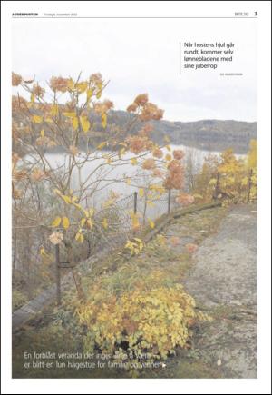 agderposten_sec2-20121106_000_00_00_003.pdf