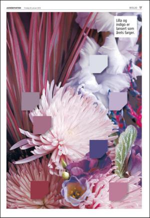 agderposten_sec2-20130129_000_00_00_017.pdf