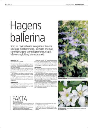 agderposten_sec2-20130730_000_00_00_016.pdf