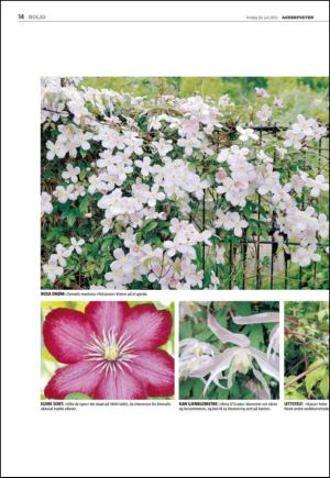 agderposten_sec2-20130730_000_00_00_018.pdf