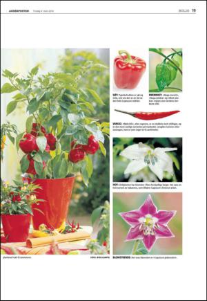 agderposten_sec2-20140304_000_00_00_019.pdf