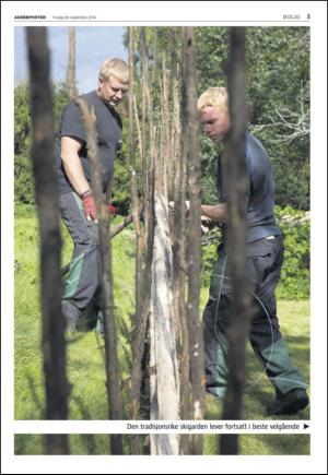 agderposten_sec2-20140930_000_00_00_003.pdf