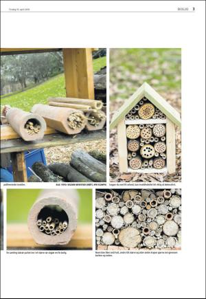 agderposten_sec2-20160419_000_00_00_003.pdf