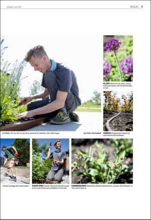 agderposten_sec2-20160621_000_00_00_003.pdf