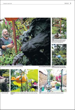 agderposten_sec2-20160830_000_00_00_003.pdf