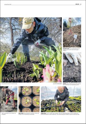 agderposten_sec2-20170429_000_00_00_003.pdf