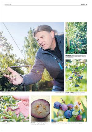 agderposten_sec2-20170603_000_00_00_003.pdf