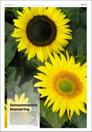 agderposten_sec2-20170819_000_00_00_057.pdf