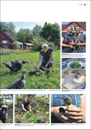 agderposten_sec2-20200620_000_00_00_031.pdf