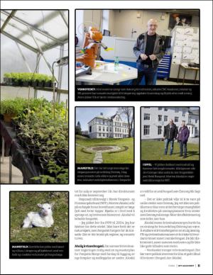 aktuellnff-20160603_003_00_00_011.pdf