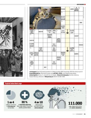 aktuellnff-20250219_001_00_00_031.pdf
