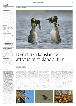 alingsastidning-20250422_000_00_00_013.pdf