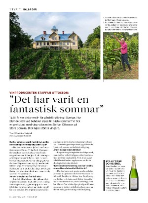 alltomvin-20251024_000_00_00_016.pdf