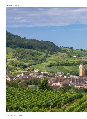 alltomvin-20251024_000_00_00_018.pdf