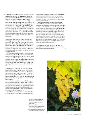 alltomvin-20251024_000_00_00_023.pdf