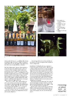 alltomvin-20251024_000_00_00_039.pdf