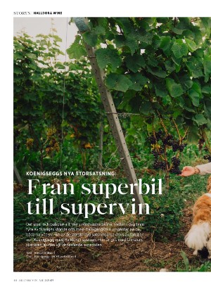 alltomvin-20251024_000_00_00_040.pdf