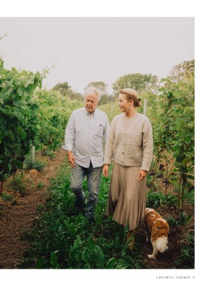 alltomvin-20251024_000_00_00_043.pdf