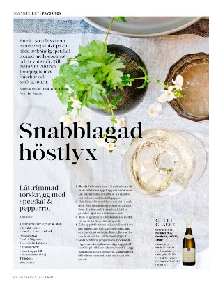 alltomvin-20251024_000_00_00_060.pdf