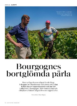 alltomvin-20251024_000_00_00_076.pdf