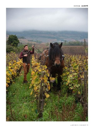 alltomvin-20251024_000_00_00_079.pdf