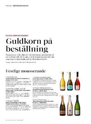 alltomvin-20251114_000_00_00_020.pdf