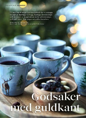 alltomvin-20251114_000_00_00_026.pdf