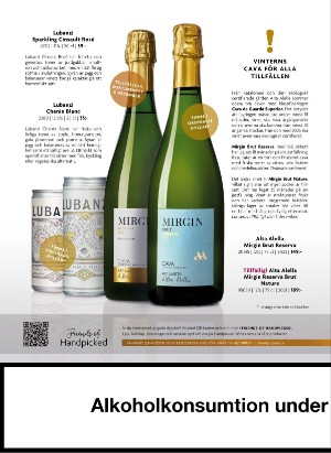 alltomvin-20251212_000_00_00_002.pdf