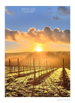 alltomvin-20251212_000_00_00_027.pdf