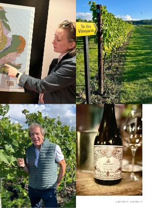 alltomvin-20251212_000_00_00_031.pdf