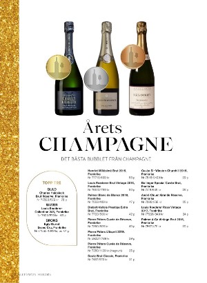 alltomvin-20251212_000_00_00_054.pdf