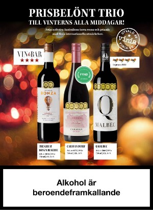 alltomvin-20251212_000_00_00_057.pdf