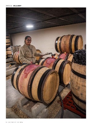 alltomvin-20251212_000_00_00_084.pdf