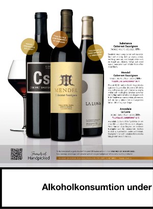 alltomvin-20260129_000_00_00_002.pdf