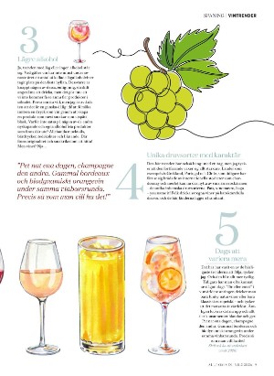 alltomvin-20260129_000_00_00_009.pdf