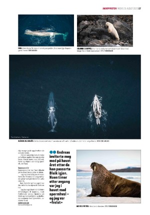 andoyposten-20230825_000_00_00_017.pdf