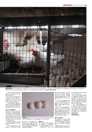 andoyposten-20250124_000_00_00_015.pdf