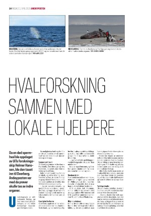 andoyposten-20250411_000_00_00_014.pdf