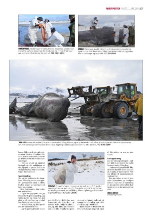 andoyposten-20250411_000_00_00_017.pdf